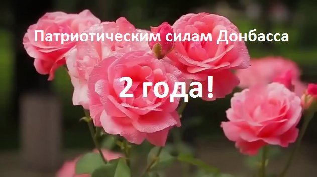 Мы выстояли в войне - Мы выстроим мир! Патриотическим Силам Донбасса 2 года!