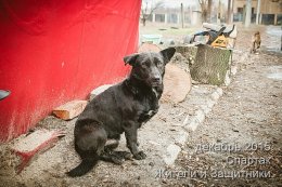 Спартак. Жители и Защитники