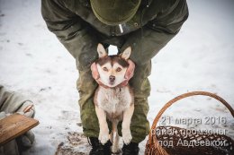 Самая горячая точка холодной весны