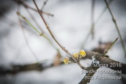 Самая горячая точка холодной весны