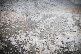 Самая горячая точка холодной весны