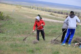 «Патриотические силы Донбасса» провели субботник на Саур-Могиле