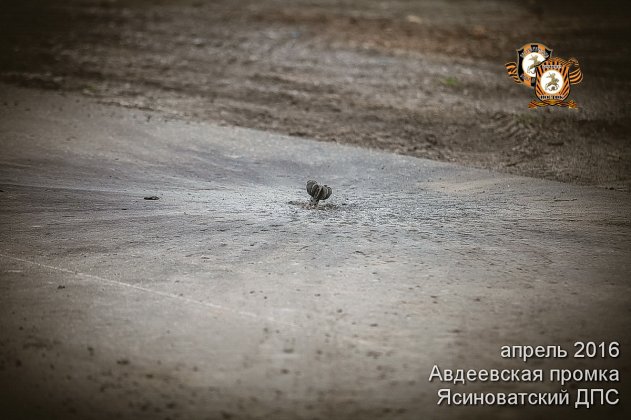 Авдеевская промка. Война, которой как бы нет...