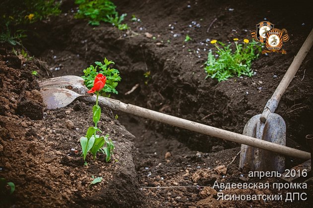 Авдеевская промка. Война, которой как бы нет...