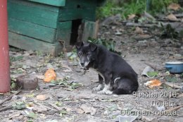 Обстрел Донецка 9 июня 2016г.